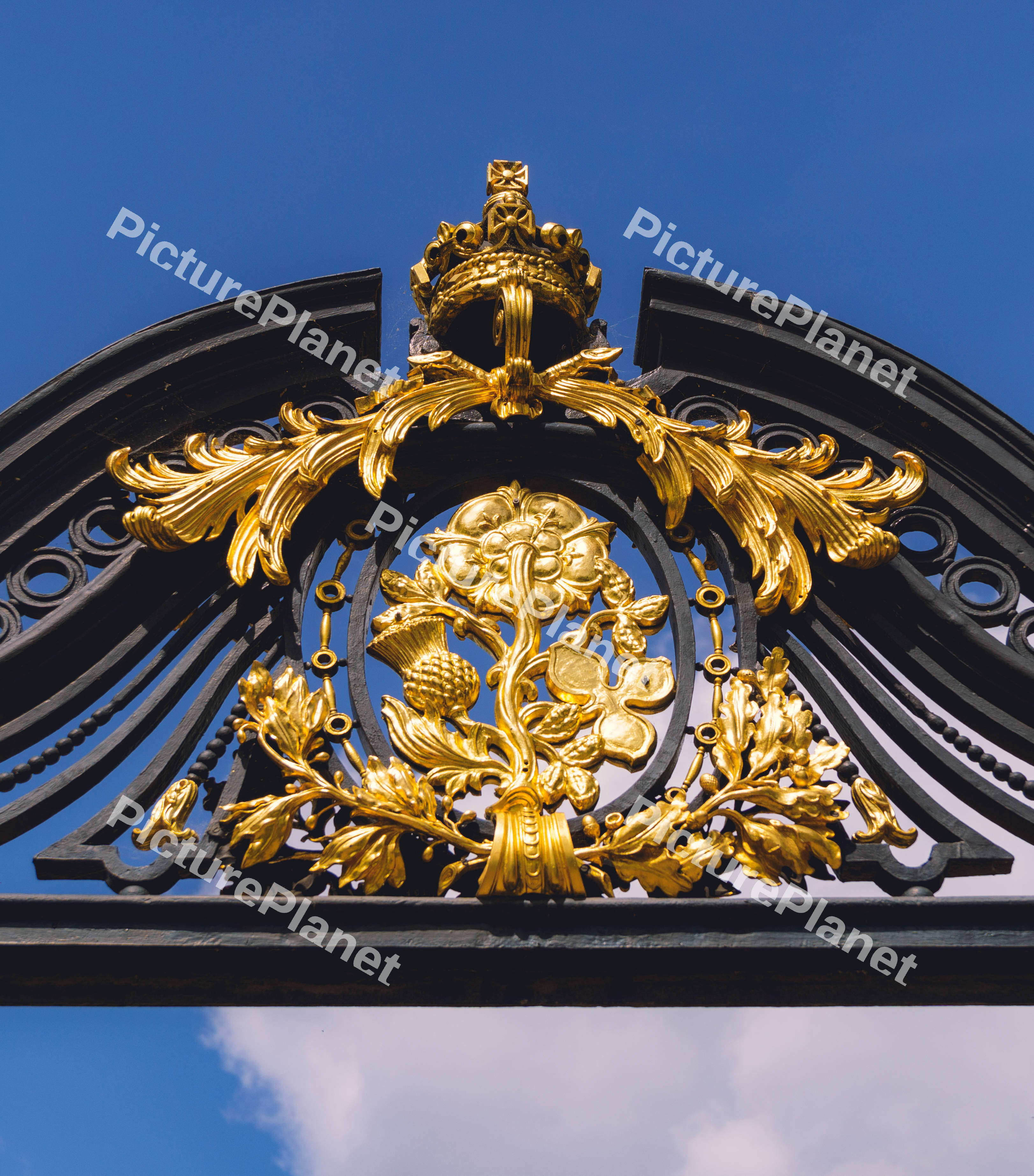 Royal Gold Gate Detail